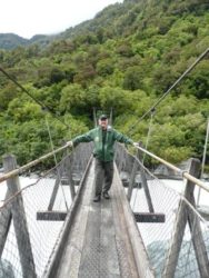 Fox rainforest bridge_Hoyt_2