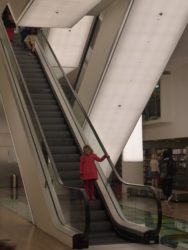Amster Lib escalator