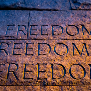 freedom in stone